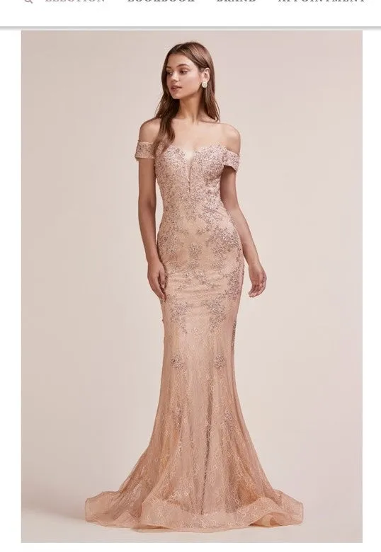 Andrea & Leo Couture A0669 Special Occasion Dress, Prom Dress