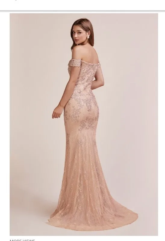 Andrea & Leo Couture A0669 Special Occasion Dress, Prom Dress