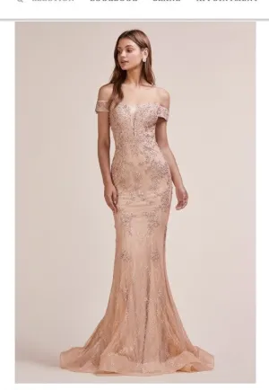 Andrea & Leo Couture A0669 Special Occasion Dress, Prom Dress