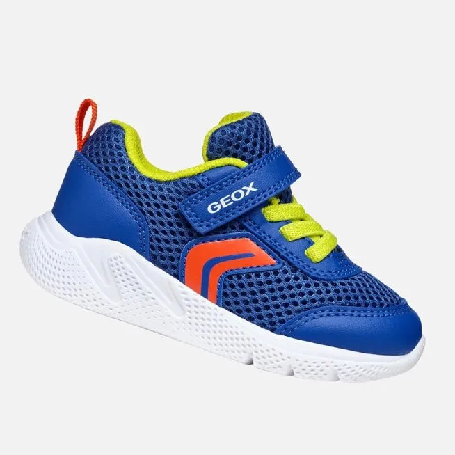 Geox - Sprintye - Royal Red