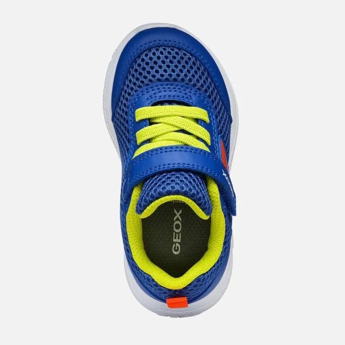 Geox - Sprintye - Royal Red