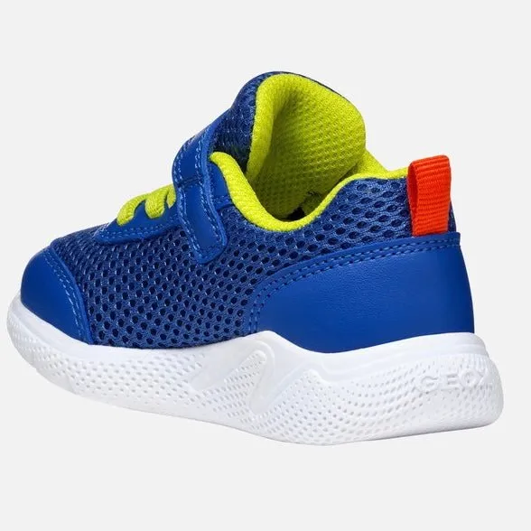 Geox - Sprintye - Royal Red