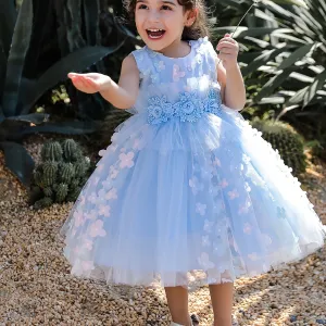 Girls Elegant Butterfly Decor Sleeveless Mesh Princess Dress