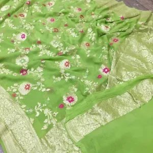 Light Green Jaal Banarasi Elegant Saree