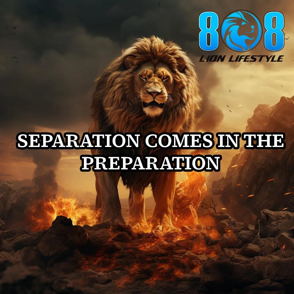 Lion Preparation Canvas V2