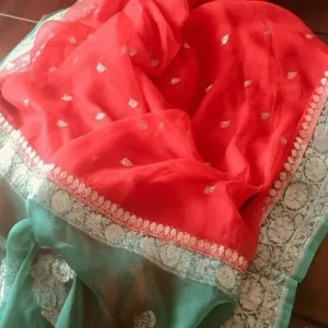 Peach Green Khaddi Chiffon Jaal Banarasi Saree