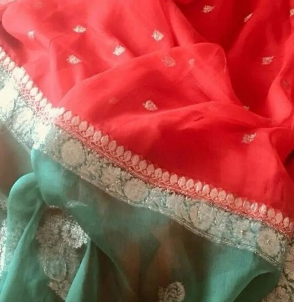 Peach Green Khaddi Chiffon Jaal Banarasi Saree