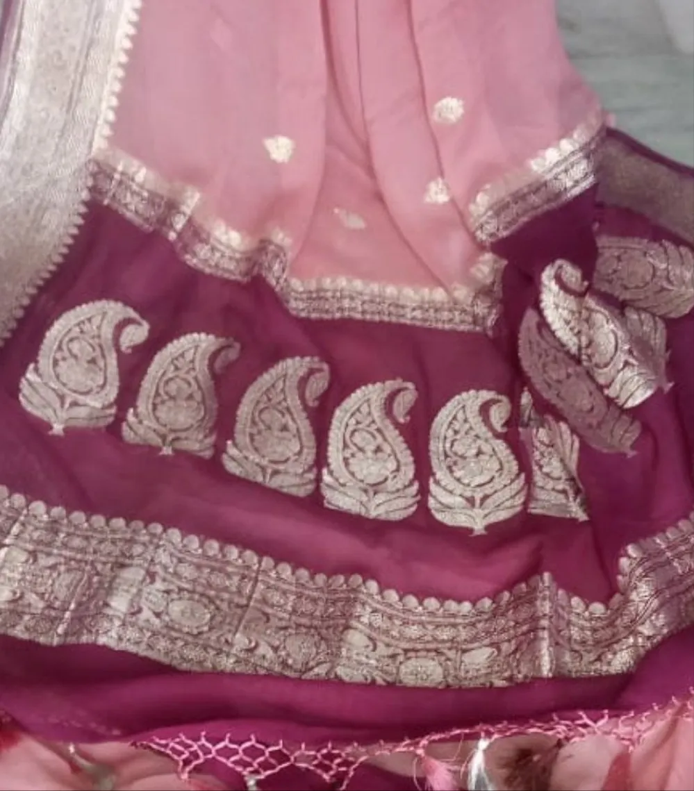 Pink WIne Ombre Jaal Banarasi Chiffon Saree
