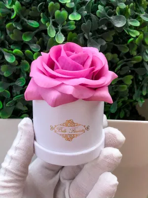 Plum Classic Micro Mini - White Box
