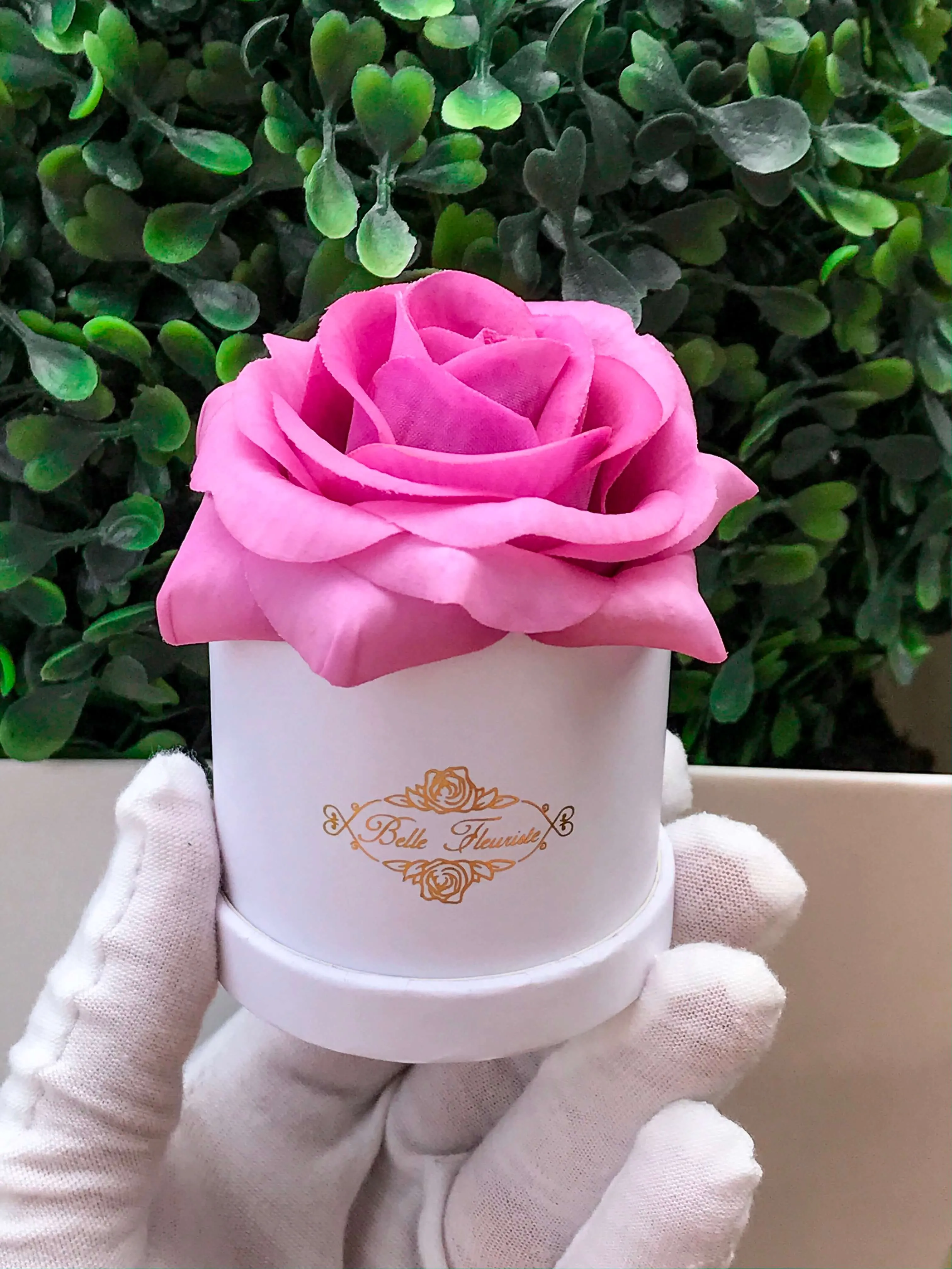 Plum Classic Micro Mini - White Box