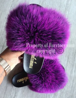 PURPLE FOXY