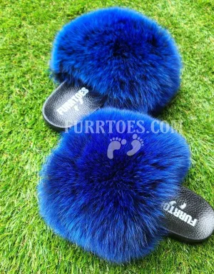 Royal Blue Frost Fluffy