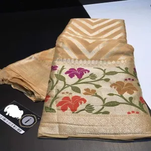 Tan Brown Banarasi Meenakari Fun Pattern Saree